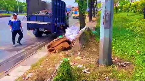 Dọn rác đường phố