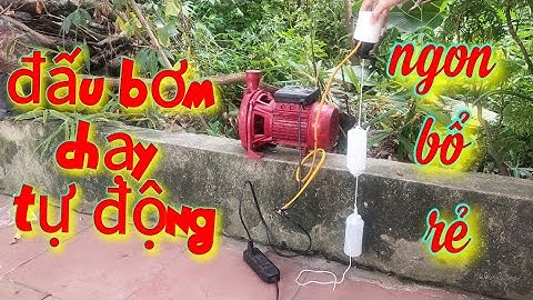 Cách đấu bơm nước chạy tự động đơn giản nhất | Điện Nhà Quê