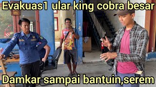 Download Lagu TERJAD1 LAGI BULAN PUASA EVAKUAS1 RAJA KING COBRA BESAR SAMPAI DAMKAR IKUT BANTUIN MP3