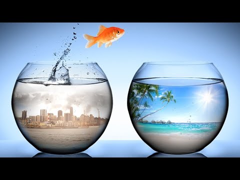 Чтоб меняться нужен алгоритм