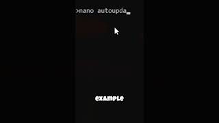 Shell Scripts Done Right: Save Hours Every Single Week