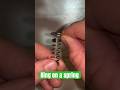 Ring on a spring metal wire puzzle #puzzlegame #brainteaser #puzzle #braingames #satisfying