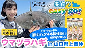 船釣り 中川俊介のウマヅラハギ攻略 宙釣りメソッド Youtube