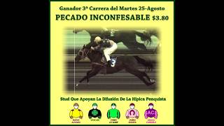 Vidéo de la course PMU PRIX VIENE EL REY