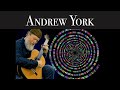 Andrew York - The Equations of Beauty, π