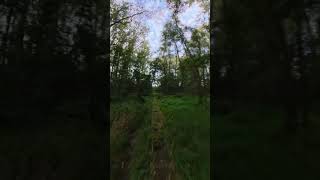 Download Lagu Denderleeuw  –  Wellemeersen – Knuppelpad Bad MP3