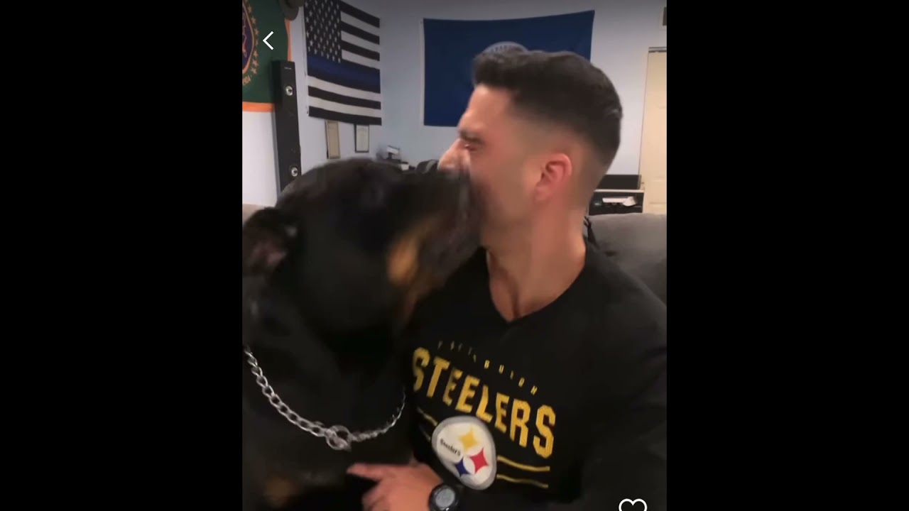 Bark At Your Dog Tik Tok Challenge / IG Compilation YouTube