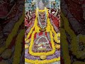 Be blessed , sleep well. जय बाबा श्री ताड़केश्वर नाथ संध्या झांकी दर्शन जयपुर राजस्थान 09.05.2026