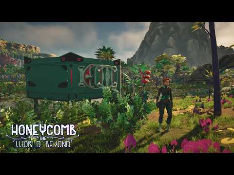 Honeycomb Early Survival Items and Equipment