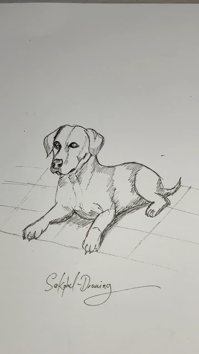 How to drawing the dog 3D on the paper #shorts #drawing #art #paperpencils