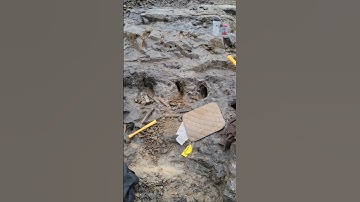 Herkimer Diamond Mining in New York