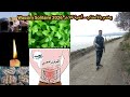   2026   3      يخدم بالأعشاب أغنية كلاش