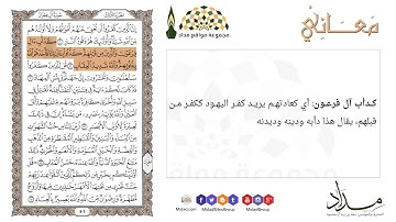 كدأب آل فرعون والذين من قبلهم كذبوا بآياتنا فأخذهم الله ... "11" آل عمران - معاني