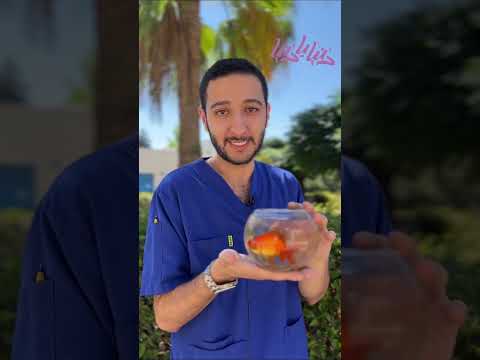 معلومات ما كنتوا تعرفوها عن السمكة الذهبية سمك جولد فيش معلومات