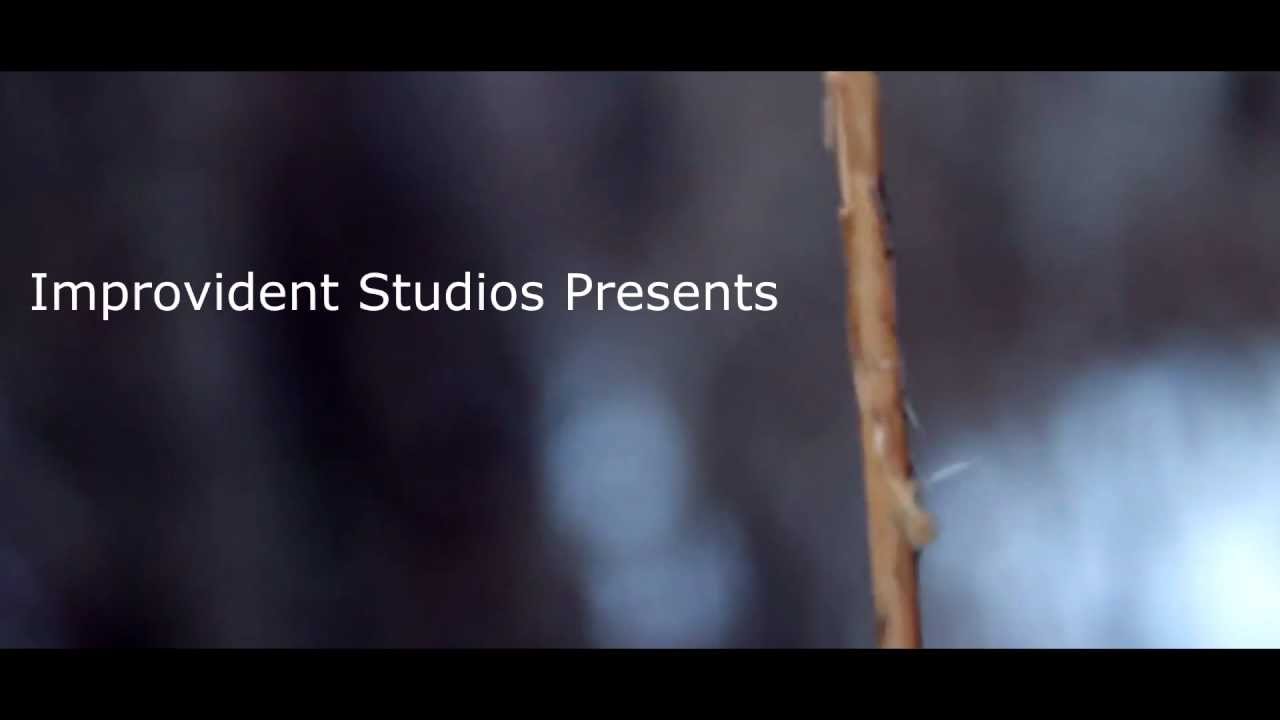 Canon EOS Rebel T3 (1100d) Video Test