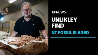 Scientists measure the sands of time to age Shirley the diprotodon fossil | ABC News