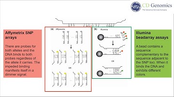 SNP Genotyping Technologies