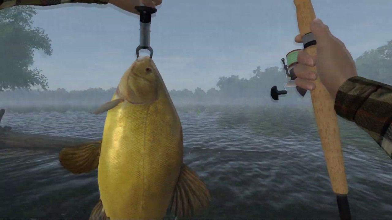 Fishing Europe LakeSander Spot Unique and Trophy TENCH and GOBI