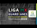 Liga MX GUARD1ANES 2020 en Microsoft Excel