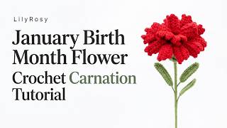 January Birth Month Flower: Tunisian Crochet Carnation Tutorial
