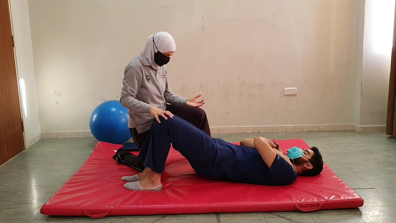 Предположение о мосте