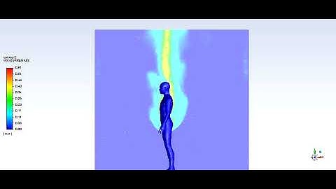 Velocity contours, CFD simulation (LES, WALE) of the heat generated by a standing subject
