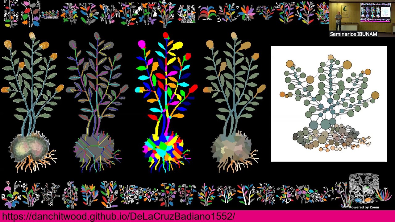 Decoding the Mexican Flora: From Nahuatl Knowledge to the Politics of the Vine