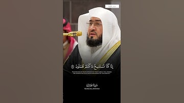 تلاوة هادئة لفضيلة الشيخ #بندر_بليلة من صلاة العشاء 10 جمادى الاولى 1446هـ .