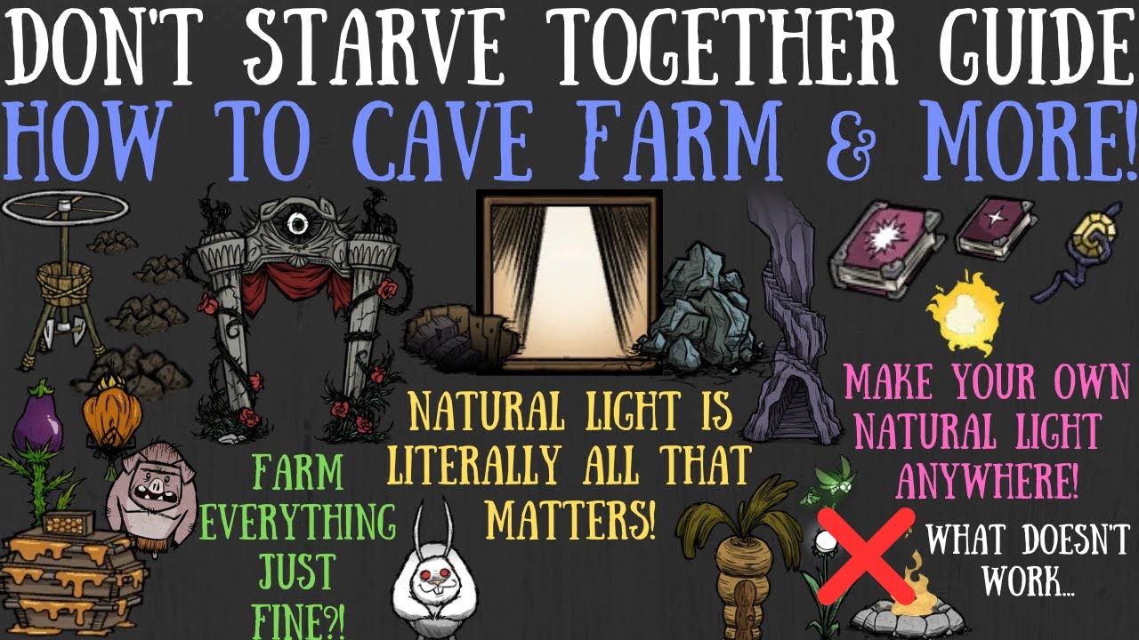 How To Cave Farm! Pigmen, Honey & More Too! - Don't Starve Together Quick Bit Guide