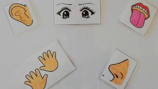 Los 5 sentidos, incluye Cuento El país de los 5 sentidos de Enric Larreula. Infantil.