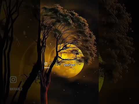 عايشتك وعايش الي سيد سلام الحسيني