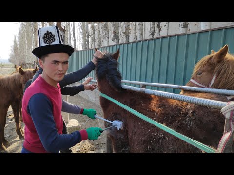 Video: Энбелги принтерлери сыя колдонобу?