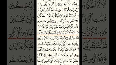 صفحة 135 من القرآن الكريم ـ سورة الأنعام ـ القارئ وليد الدعيبس