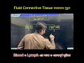 Fluid Connective Tissue (Blood &amp; Lymph) সহজভাবে বুঝুন | SSC Biology Important Topic