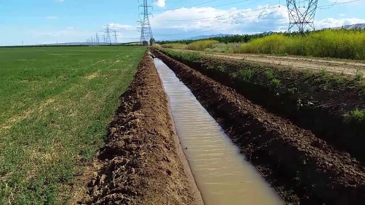 camera iphone 8 plus apk Regando alfalfa campos de California EU