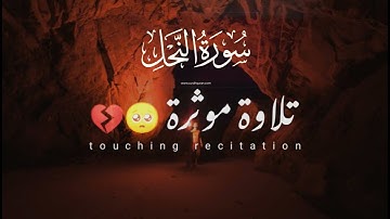 القران الكريم | سورة النحل | القارئ عبدالرحمن مسعد | تلاوة خاشعة جميلة جدا 😌❤️ | حالات واتس اب