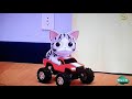 Chi mon chaton pisode 7  chi joue les enquiquineuses