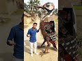 I made mechanical woodpecker bird shaped machine please follow me guys