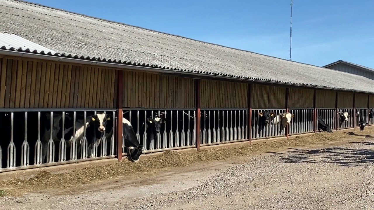 Fsr x lodge tour 2020 trailer !