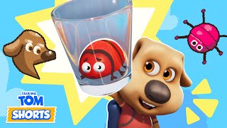Download Lagu NEW EPISODE! Bug Off! (Nasty Little Bugs 3) ๐ชฒ Talking Tom Shorts (S3 Episode 37) MP3 Download Lagu NEW EPISODE! Bug Off! (Nasty Little Bugs 3) ๐ชฒ Talking Tom Shorts (S3 Episode 37) MP3