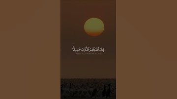 #ماهر_المعيقلي #تلاوات #القرآن_الكريم #تلاوة_خاشعة #القرآن #آيات #تلاوة #quran #قرآن#قران_كريم #ترند