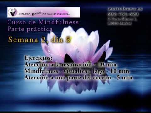 Curso de Mindfulness Práctica Semana 2 día 5