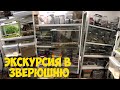 Экскурсия в зверюшню. Рассказываю обо всех, кто у меня живет