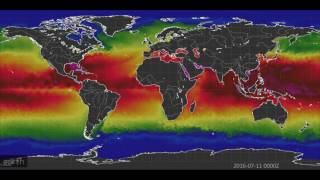 Sea Surface Temperature in 2016