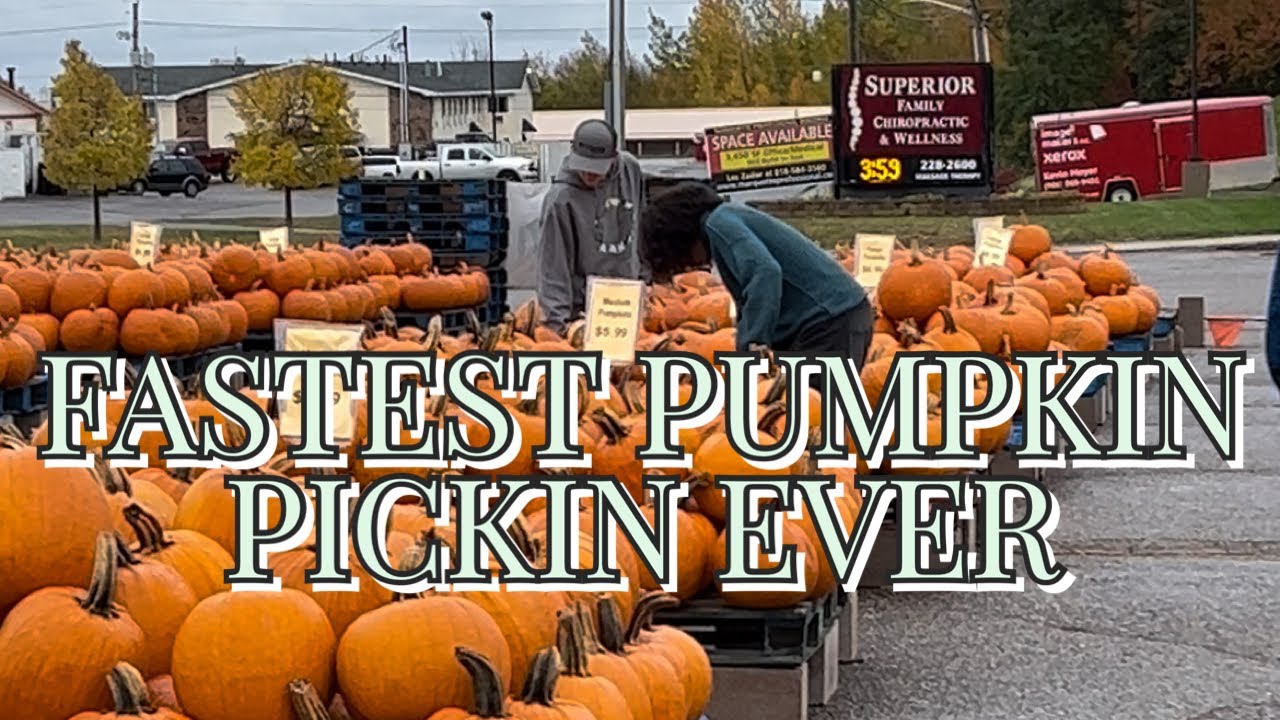 THE FASTEST PUMPKIN PiCKING W/ MY 3 YOUNGEST 😂😂🎃 YouTube