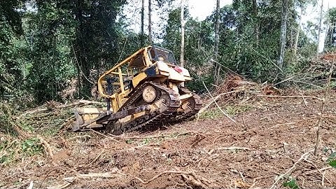 Amazing operator skills do the job perfectly CATERPILLAR BULLDOZER D6R XL #heavyequipment