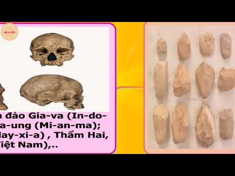 Video TÓM TẮT LỊCH SỬ 6 _BÀI 3. NGUỒN GỐC LOÀI NGƯỜI - youtube
