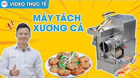 Máy Tách Xương Cá - Máy Lọc Xương Cá Có Vảy, Cá Da Trơn Làm Chả Tự Động I Điện Máy NEWSUN