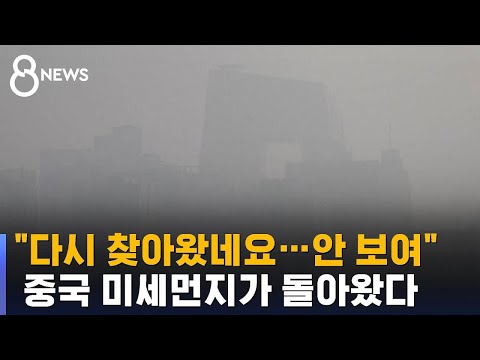 "다시 찾아왔네요…안 보여" 중국 미세먼지가 돌아왔다 / SBS 8뉴스