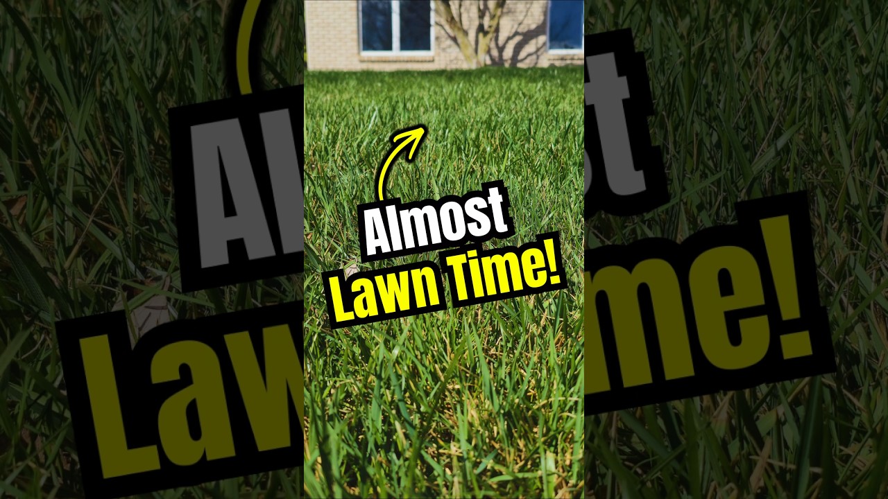 Lawn Lovers… It’s Almost Time! 😎